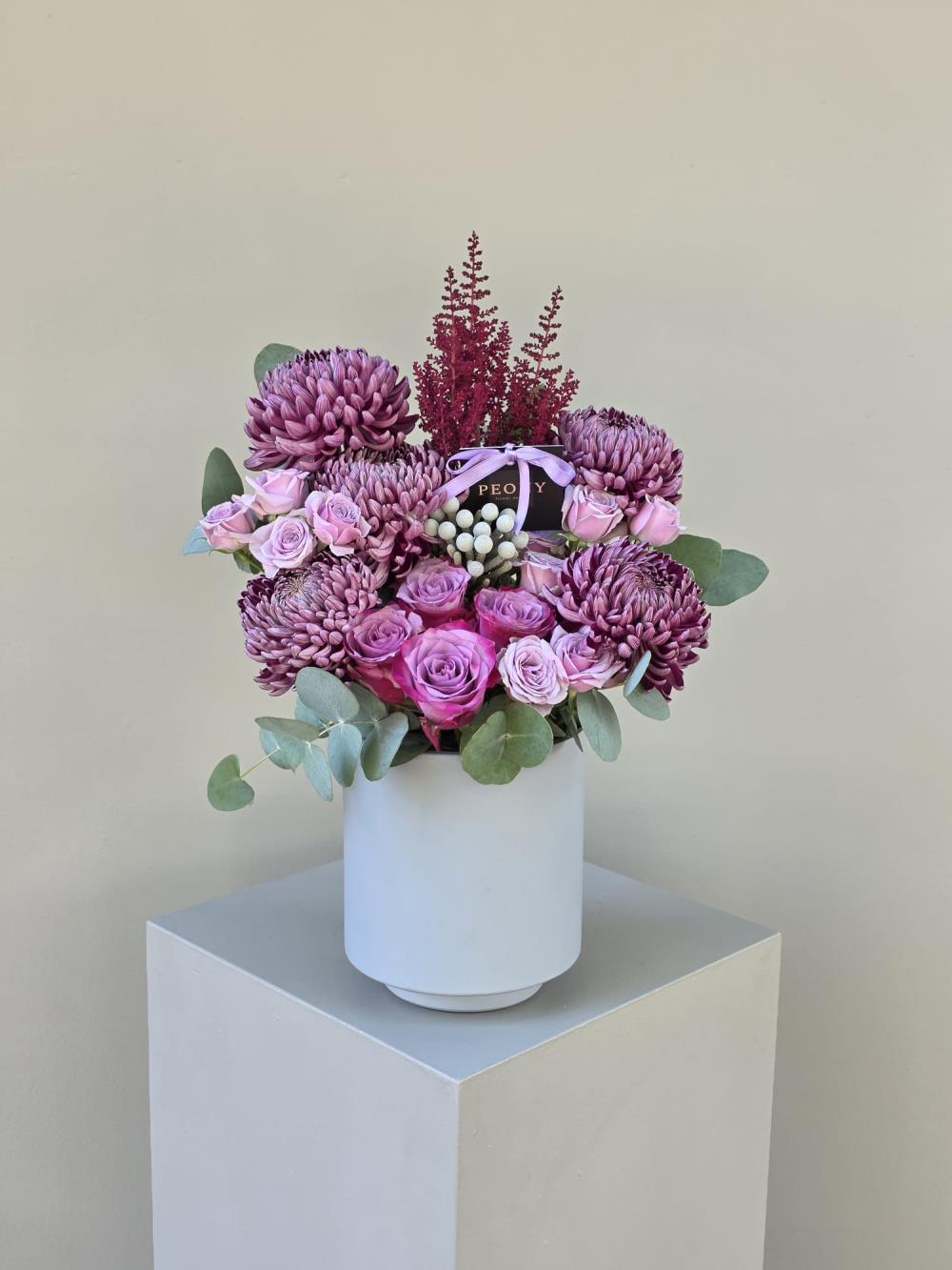 Royal Plum Dream